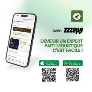 visuel pour article