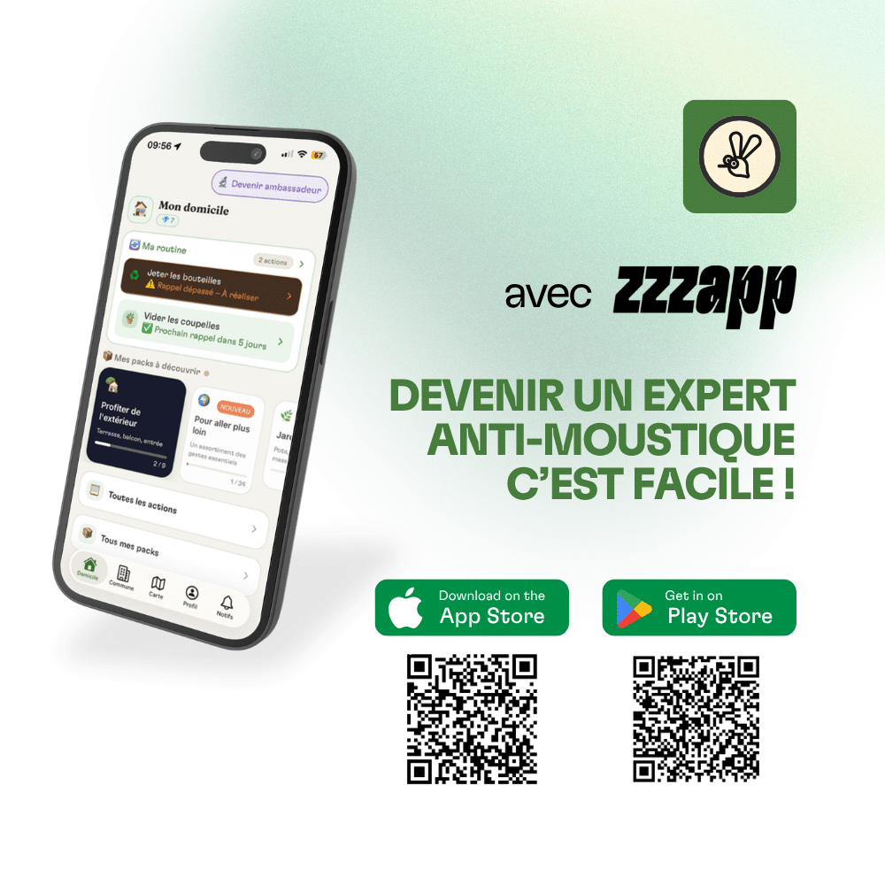 visuel pour article
